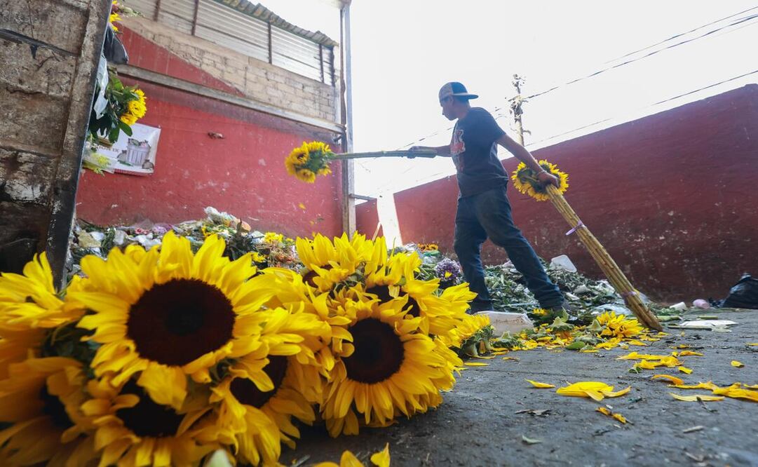Las altas temperaturas han provocado pérdidas superiores al 50% entre los floricultores del Edomex. Foto: Alejandro Vargas / El Universal Estado de México