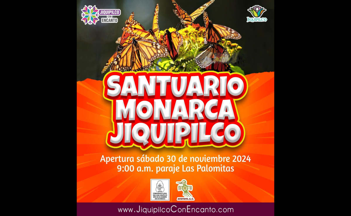 Jiquipilco se llena de vida con la llega de la mariposa monarca en noviembre. Foto: Especial