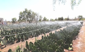 Agua y tecnología para el campo mexiquense: Requisitos para recibir equipo y obras hidráulicas