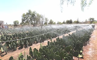Agua y tecnología para el campo mexiquense: Requisitos para recibir equipo y obras hidráulicas
