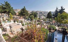 Transita Edomex a la instalación de cementerios verdes; prevén sepulturas a menor profundidad