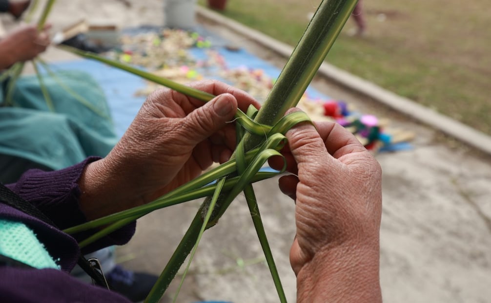 Un artesano de San Cristóbal Huichochitlán transforma con destreza hojas de palma en intrincadas figuras religiosas. Foto Alejandro Vargas / El Universal