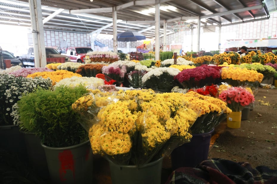 Gracias a la logística de cadena de frío, las rosas de Villa Guerrero y Coatepec Harinas llegan frescas a Houston y Canadá. Foto Alejandro Vargas / El Universal