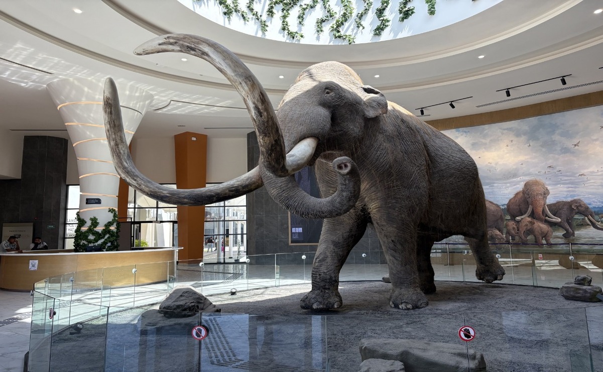 Cinco espacios del terreno aún no construidos y resguardados por el INAH / Foto Arturo Contreras