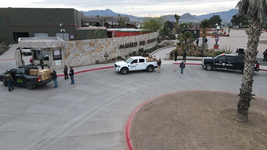 Los ejemplares fueron evaluados genéticamente y permanecerán bajo cuidado especializado. Foto: especial