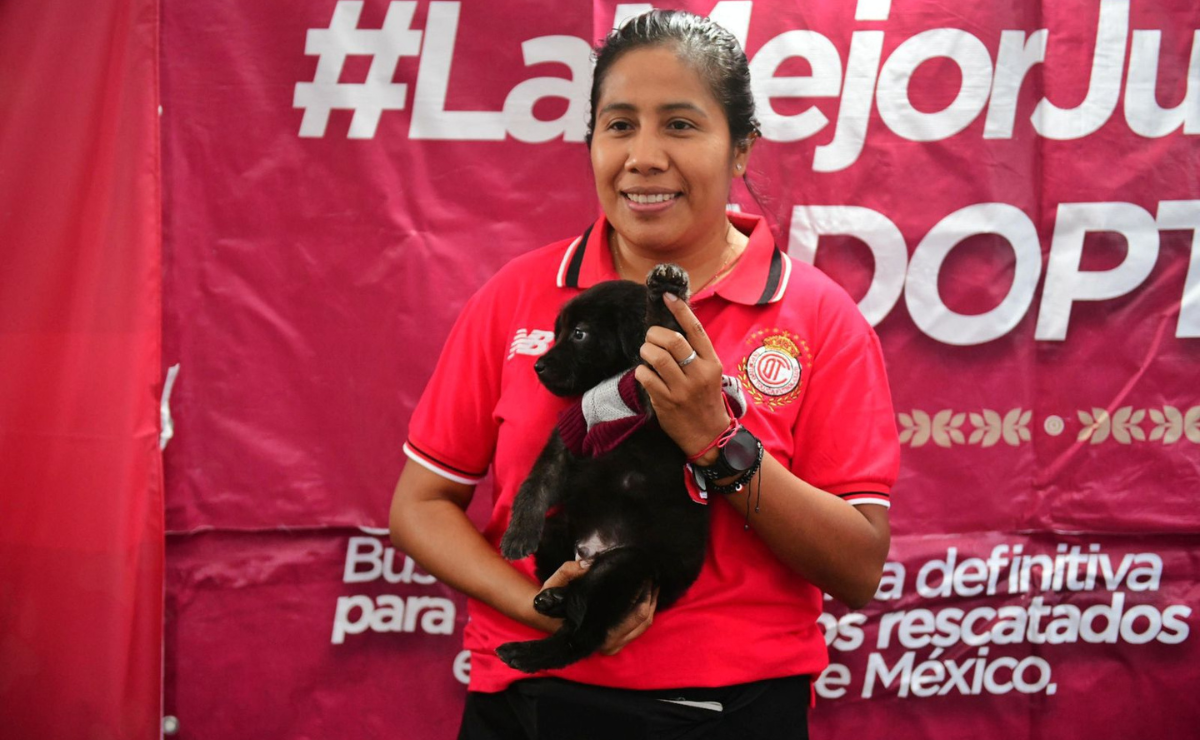 La afición del Toluca anotó un golazo de humanidad en el Nemesio Diez, adoptando a 85 perritos rescatados durante la final de la Liga MX. Foto: Especial