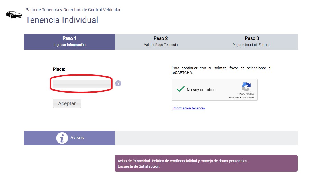En el portal se debe colocar el número de placa y habilitar el reCAPTCHA. Captura de pantalla
