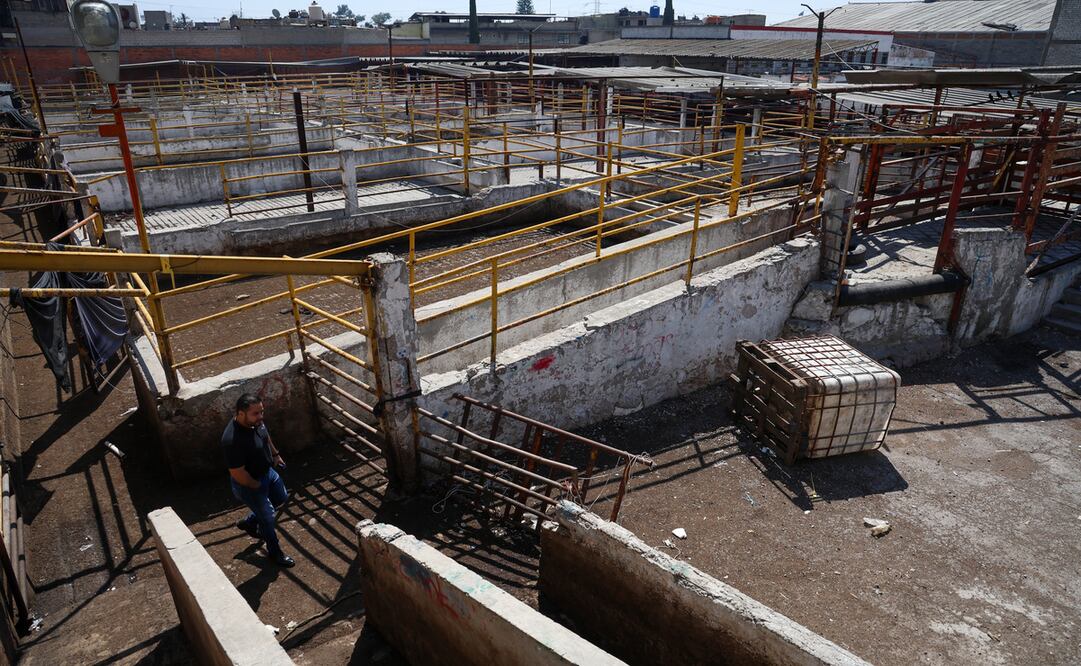 Con ratas, cucarachas, moscas y hasta víboras operaba el Rastro Municipal de Ecatepec / Foto: Luis Camacho