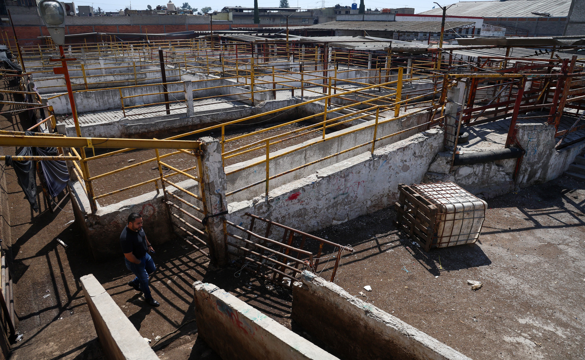 Con ratas, cucarachas, moscas y hasta víboras operaba el Rastro Municipal de Ecatepec / Foto: Luis Camacho