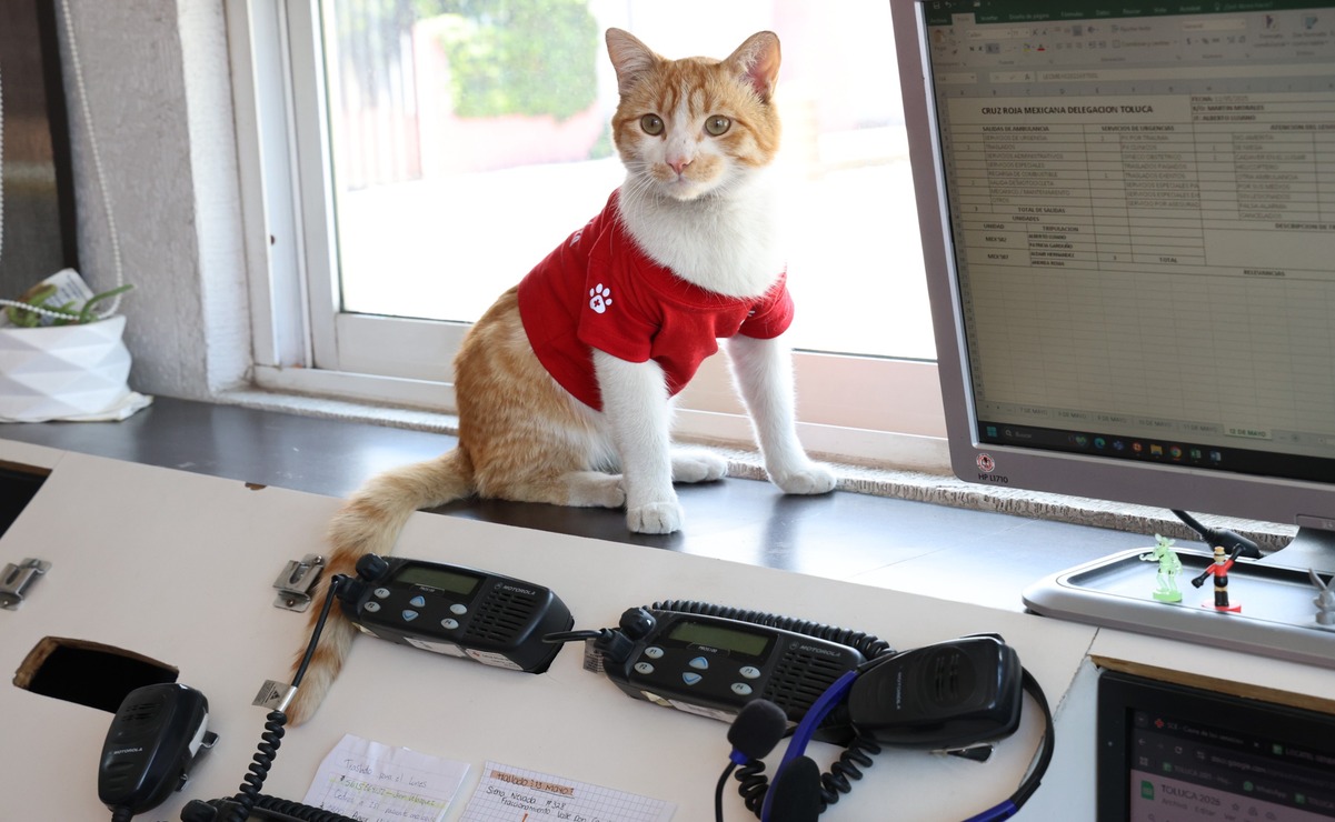 Cruzberto, el supervisor de la Cruz Roja Toluca / Foto Sergio García