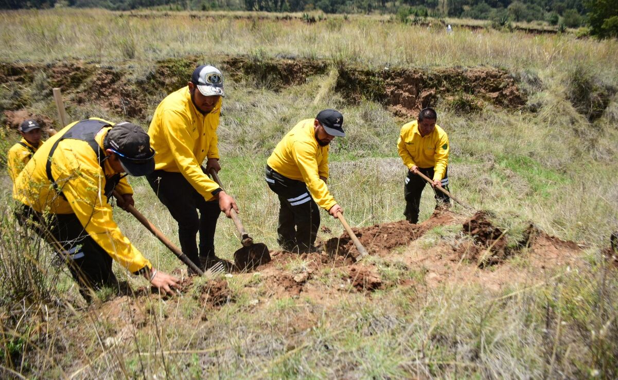 Probosque busca recuperar zonas boscosas en Temoaya con captación de agua pluvial