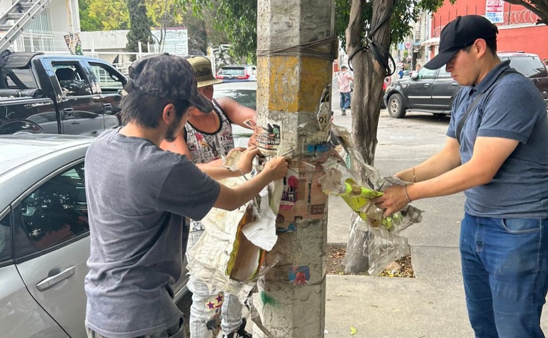 Labores de retiro de propaganda irregular en postes y luminarias de la colonia Bosques de Aragón. Foto Especial