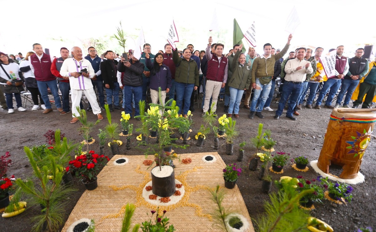 La restauración no se limita solo a la plantación de árboles, implica una planeación detallada / Foto: Especial
