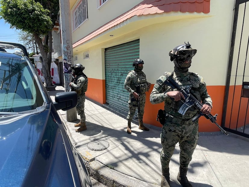 Investigan la posesión ilegal de fauna silvestre exótica. Foto Especial