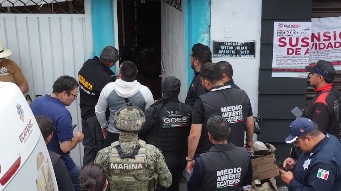 Los 19 perros –algunos de ellos cachorros- y seis gatos fueron trasladados al Centro de Control y Bienestar Animal de Ecatepec. Foto: especial