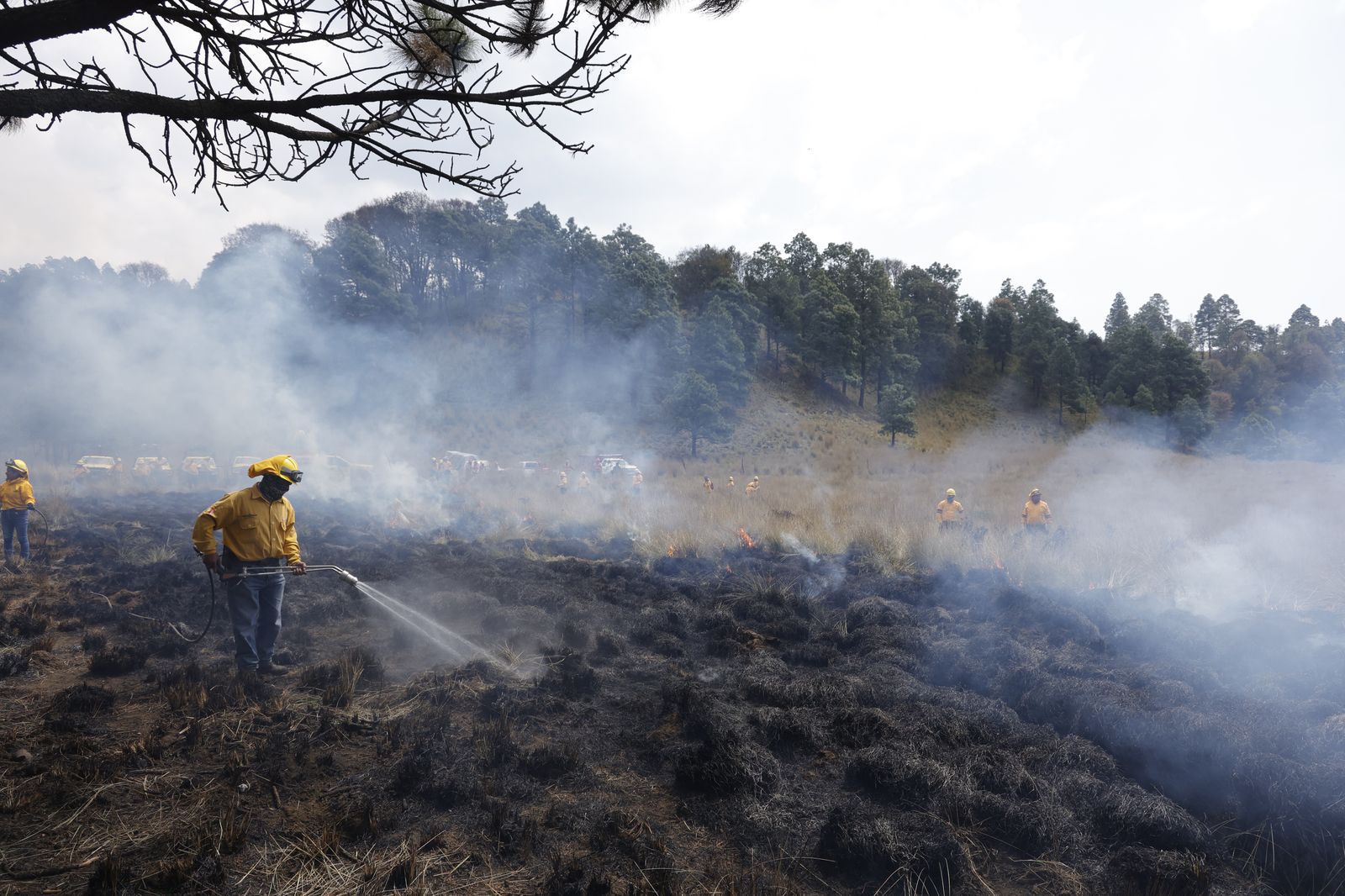 La reducción se atribuye a lluvias y acciones de prevención implementadas desde 2024, que continuarán para evitar quemas descontroladas. Foto Arturo Hernández