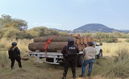 Aseguran madera ilegal en operativo en el Edomex