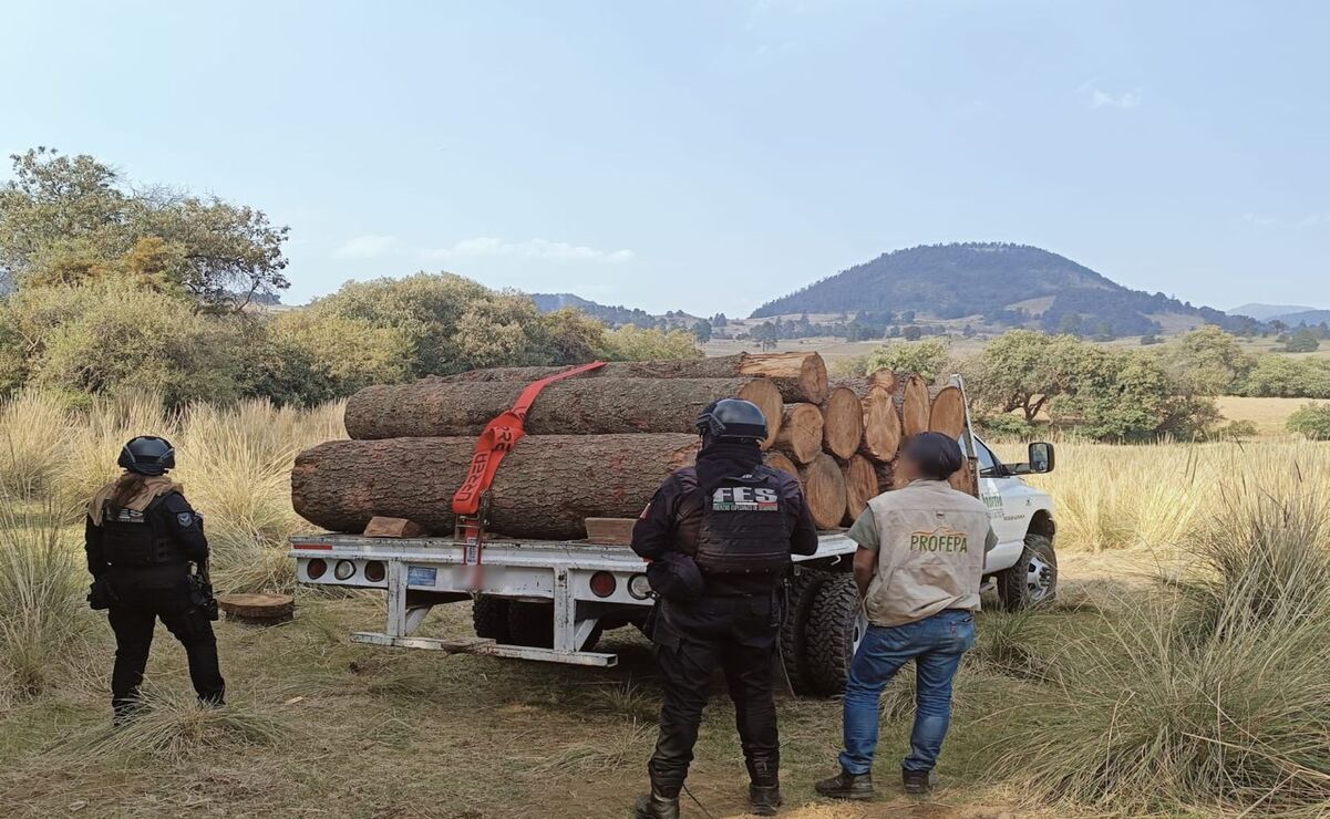 El despliegue tuvo la finalidad verificar aserraderos ilegales y desarticularlos / Foto: Especial