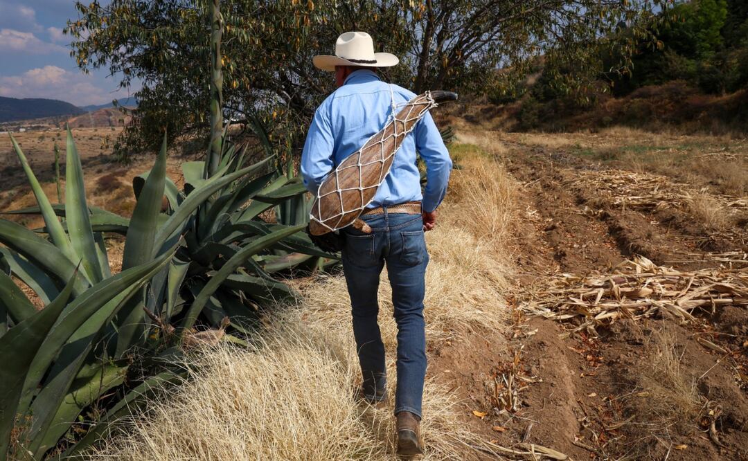 Francisco Hernández, un joven tlachiquero que mantiene viva la tradición del pulque en Texcoco. Foto: Luis Camacho