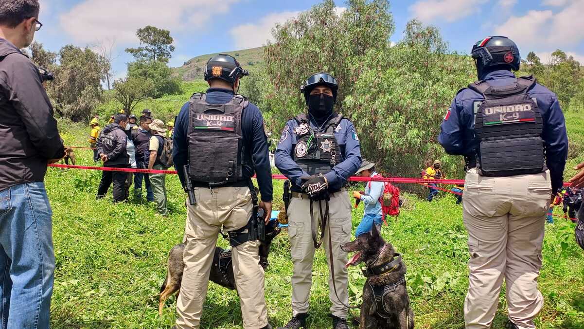 Binomios caninos de Tlalnepantla localizan restos humanos en la Sierra de Guadalupe