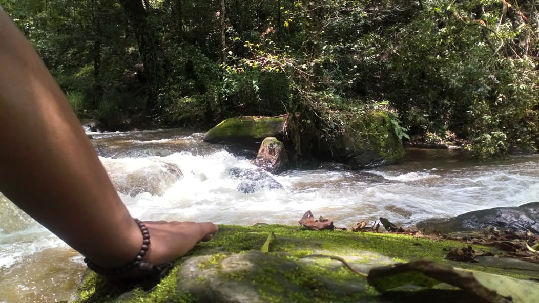 Valle de Bravo es perfecto para capturar imágenes de paisajes forestales, aves migratorias y reflejos en el agua. Foto Especial