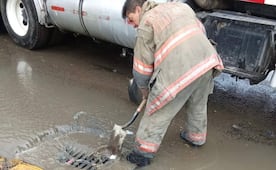 ¡Ecatepec bajo vigilancia! Limpian coladeras en Vía Morelos para evitar inundaciones tras fuerte aguacero