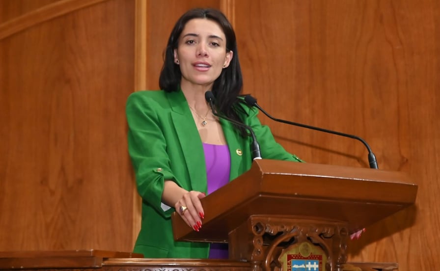 PVEM propone tres años de cárcel por abandono de adultos mayores en Edomex