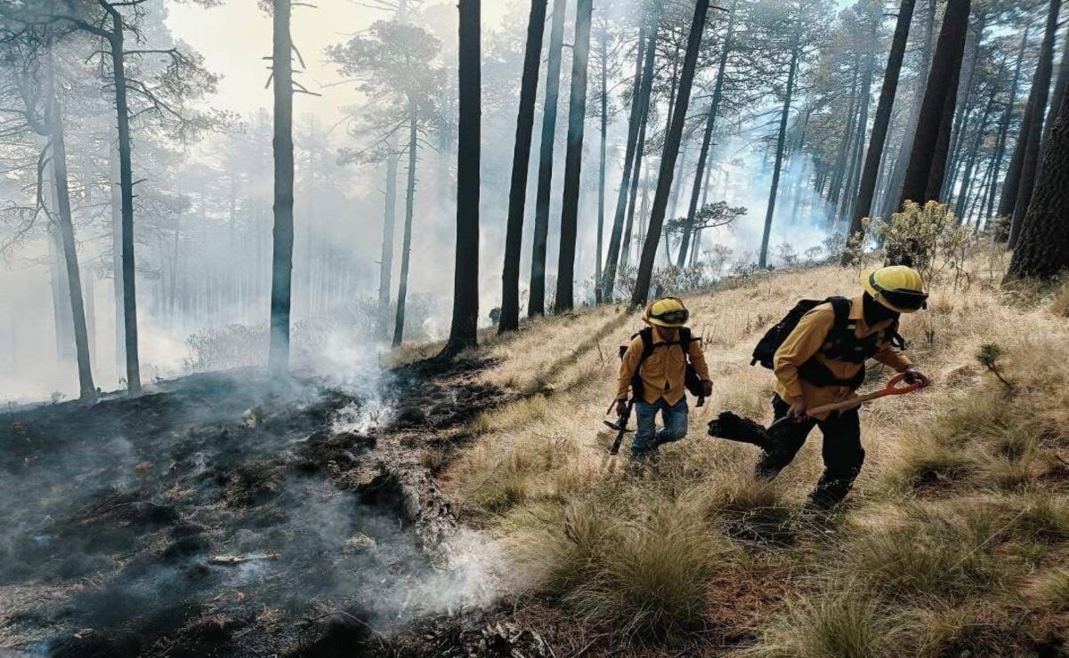 Combaten incendio forestal cerca del Nevado de Toluca; tres brigadistas resultan heridos