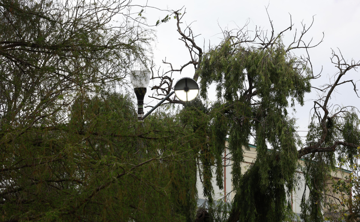 Toluca se enciende: ¡25,000 luces inteligentes iluminan un futuro brillante!