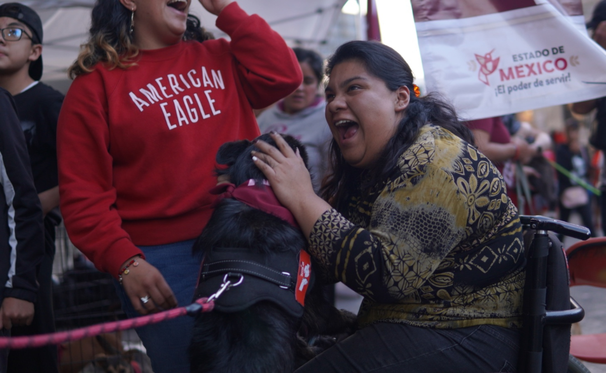 La adopción es la mejor inversión que puedes hacer. ¡Invierte en amor! Foto: Especial