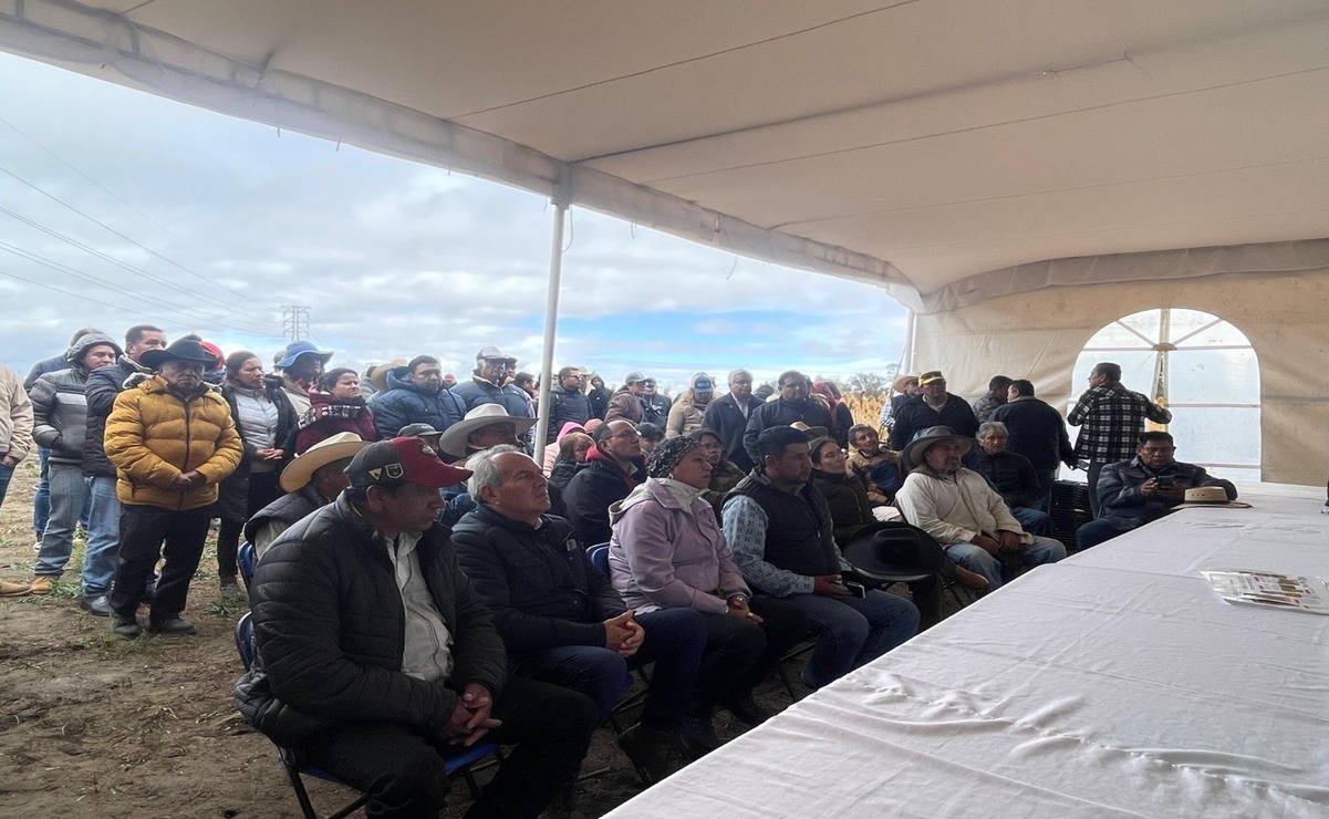 Se busca fomentar que el campo mexiquense tenga un manejo agrícola más sostenible / Foto: Especial
