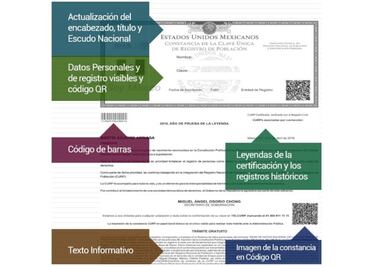 ¿Cómo corregir errores en tu CURP después de obtenerla?
