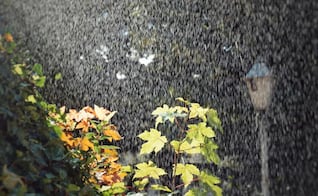  ¡Prepárate! Edomex espera tormentas y caída de granizo para este fin de semana  