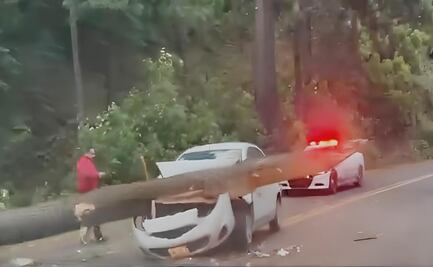 Caen árboles encima de un autobús y un vehículo en Temascaletepec