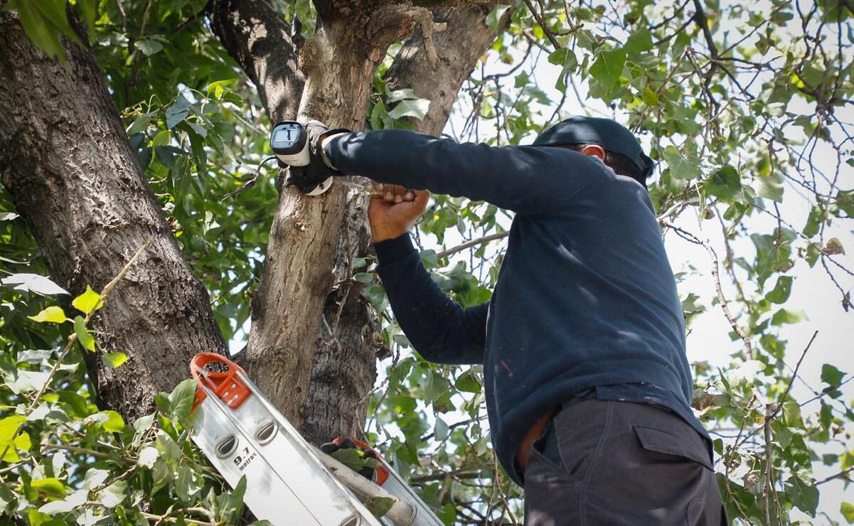 El operativo para retirar las cámaras inició el 5 de marzo / Foto: Especial