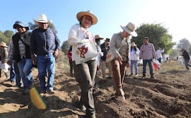 Alistan nuevas reglas para seguro campesino