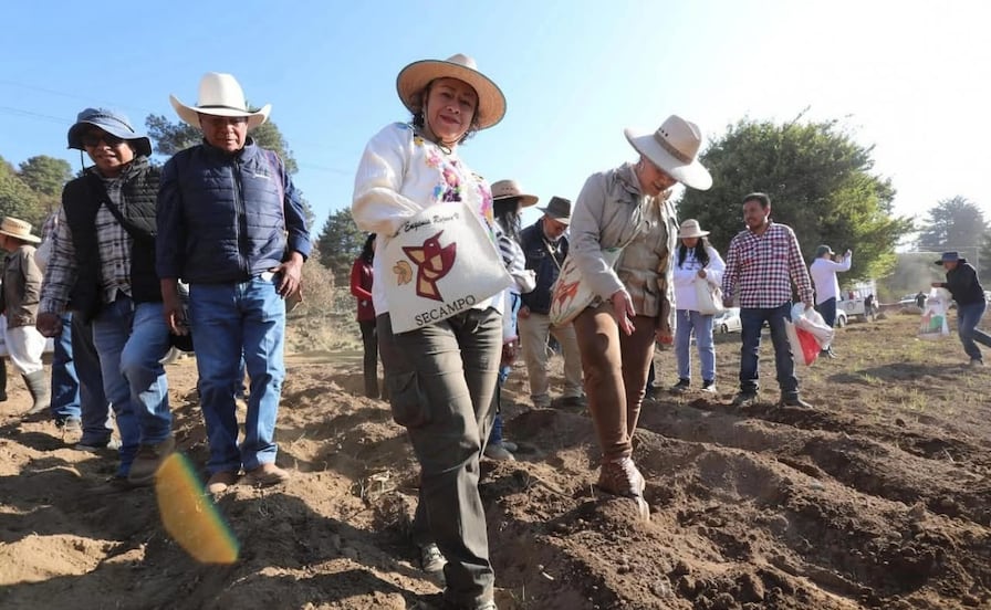 Alistan nuevas reglas para seguro campesino