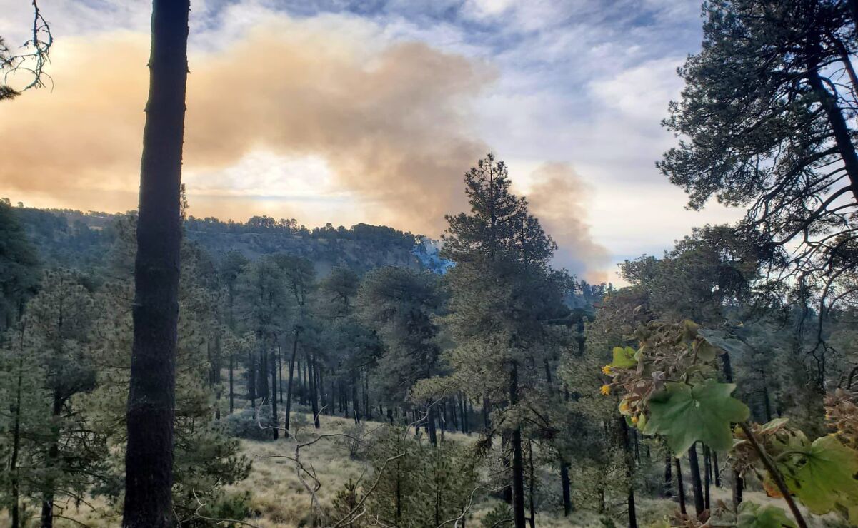 Emergencia en el Parque Izta-Popo; brigadistas combaten incendio forestal