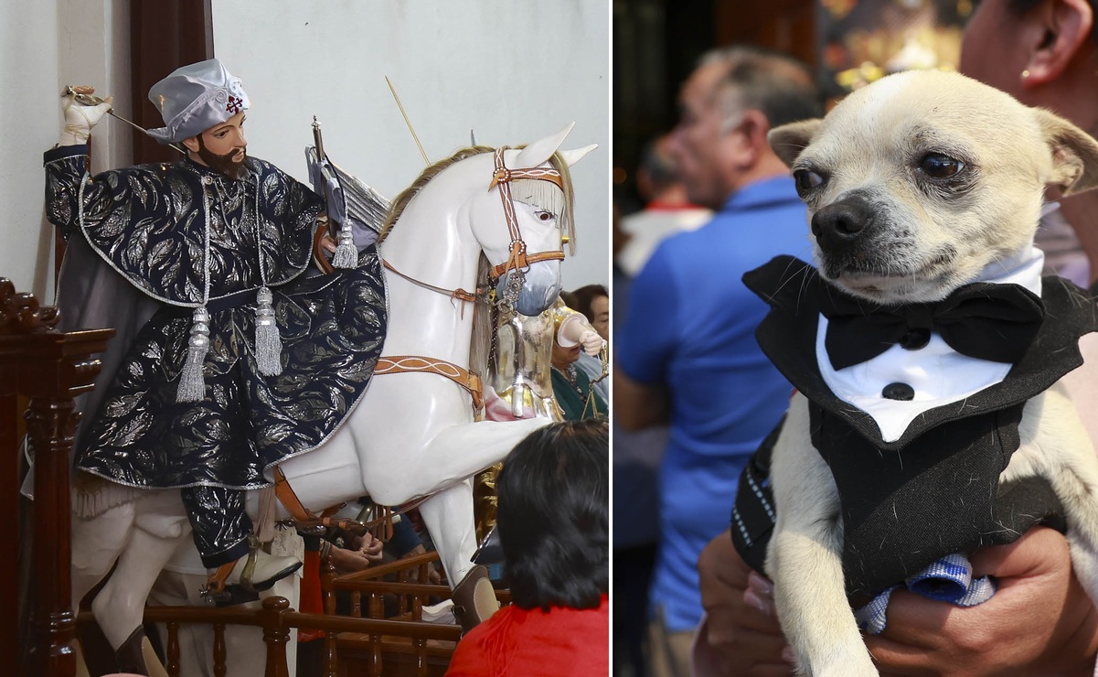¡Toda una tradición! Ocoyoacac celebra a San Antonio Abad con bendición de animales