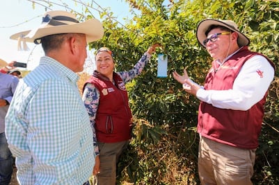 Refuerzan blindaje contra gusano barrenador en Tlatlaya; ahora van por proteger a los perros