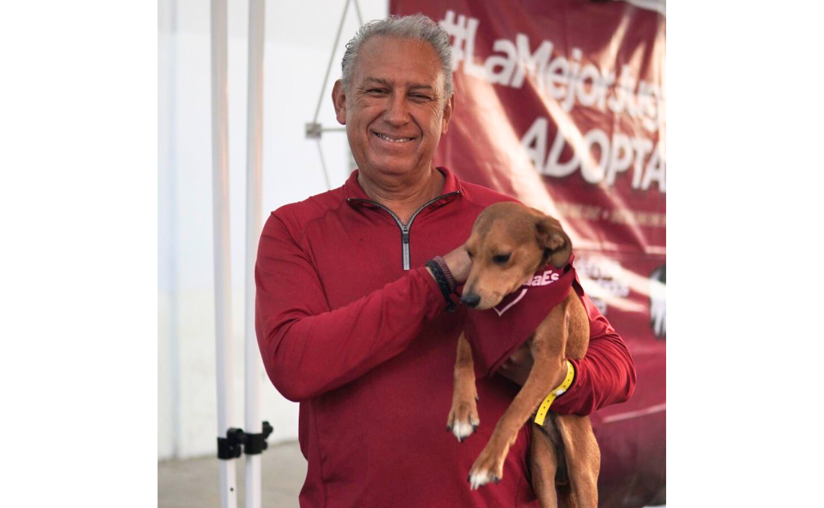 Un nuevo comienzo te espera. ¿Listo para darle un hogar a este peludito? Foto: Especial