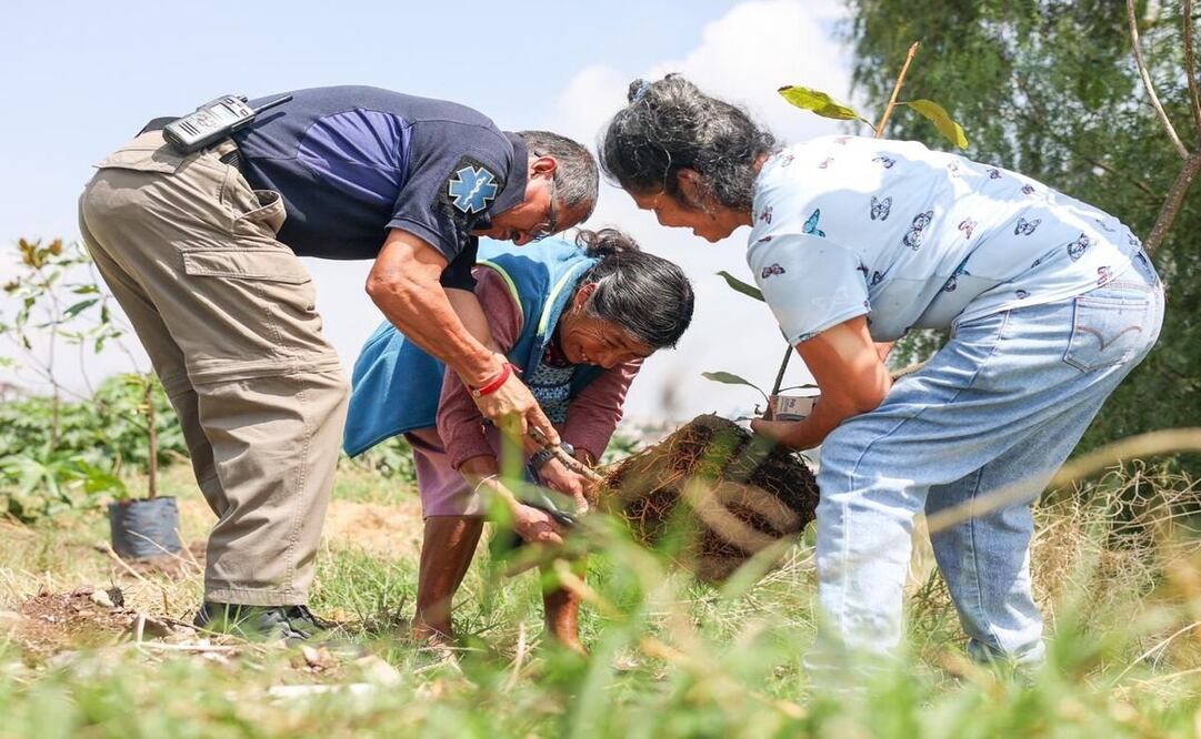 La campaña pretende revertir los daños que han provocado especies no nativas / Foto Especial
