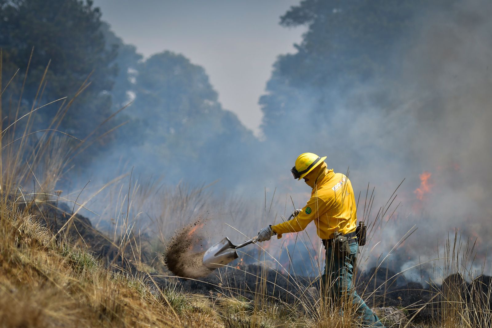Prevén que la aparición de incendios para este año será “altísima”. Foto Especial