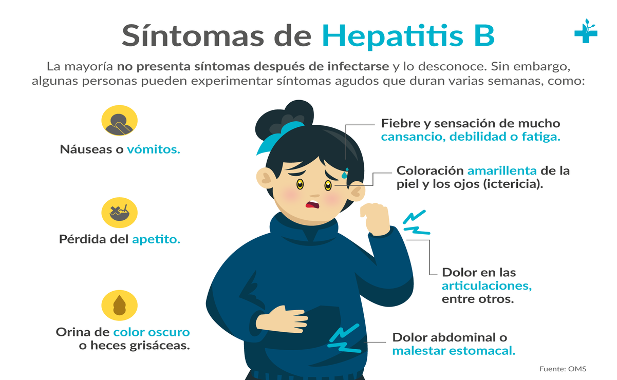 La hepatitis es una inflamación del hígado que puede ser causada por diversos factores, principalmente por infecciones virales. Foto: medica santa carmen