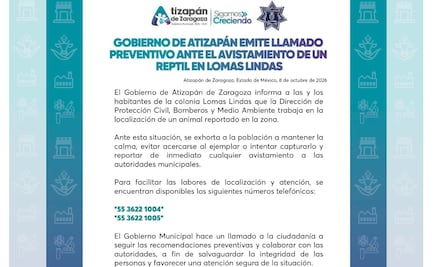 Buscan a presunta boa escapada en Lomas Lindas; expertos de la UNAM se suman al operativo