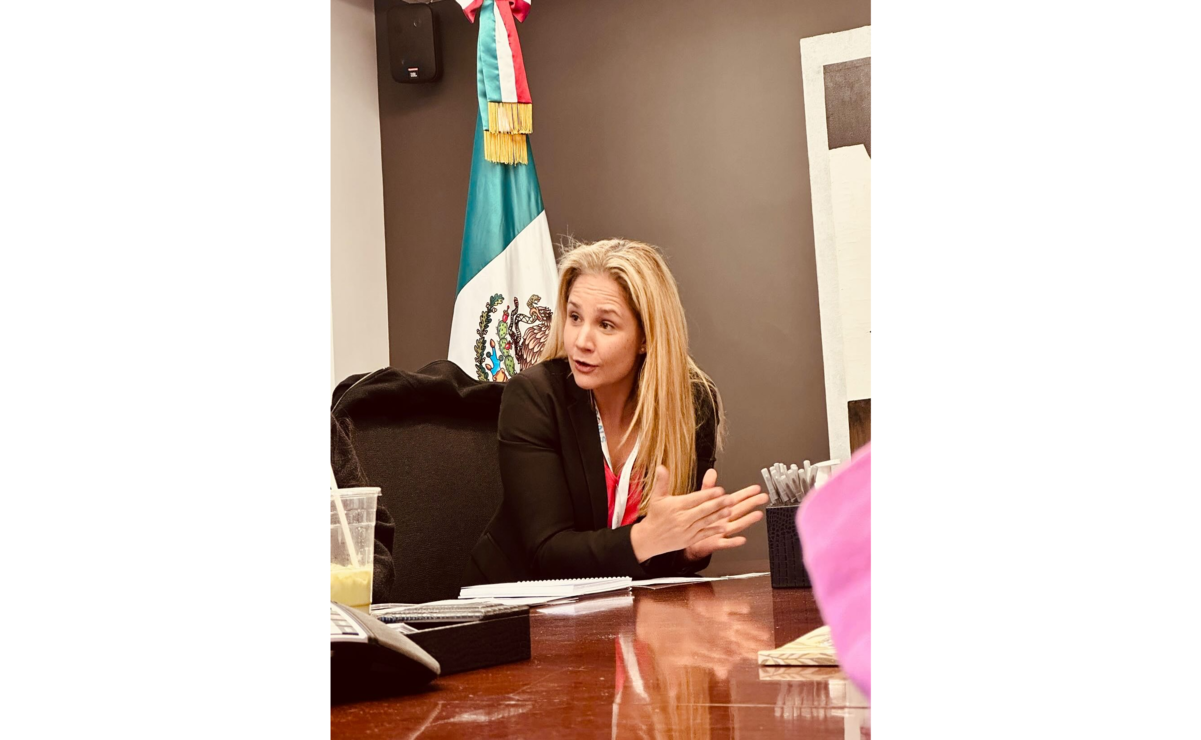 Jennifer Seifert señaló que uno de los errores fue incluir a los hombres como víctimas de violencia vicaria. Foto: Especial