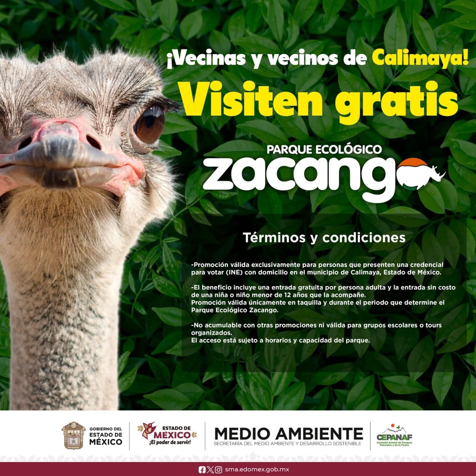 Con esta medida, las personas beneficiarias podrán admirar sin costo alguno los más de 800 animales / Foto Especial