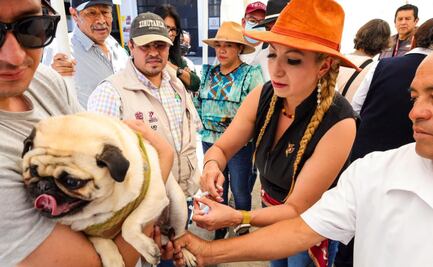 ¡Texcoco dice "No" a la rabia! Campaña masiva salva a miles de mascotas