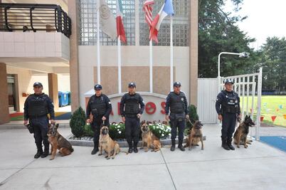 ¡Se acabaron las vacaciones! Mil 335 policías estatales vigilarán el retorno a las aulas