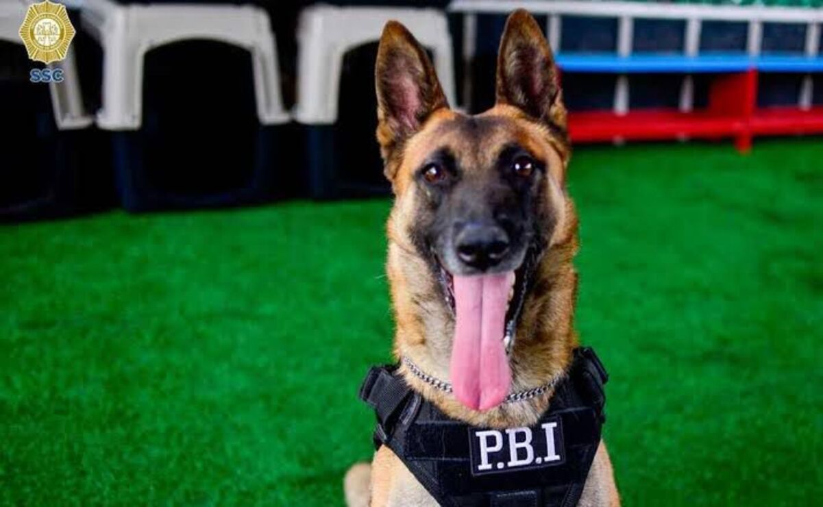 Ginger fue una de las mejores policías en la PBI. Foto: Especial.